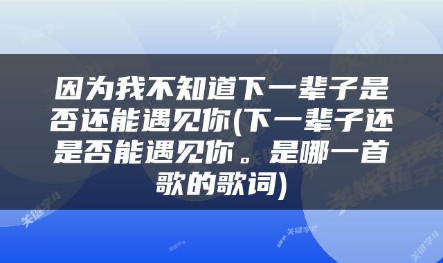 因为我不知道下一辈子是否还能遇见你(下一辈子还是否能遇见你。是哪一首歌的歌词)
