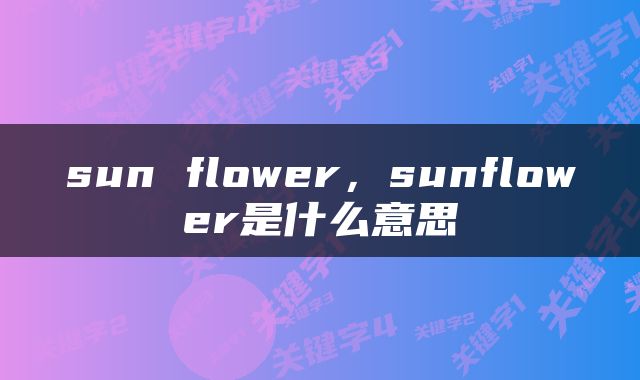 sun flower，sunflower是什么意思