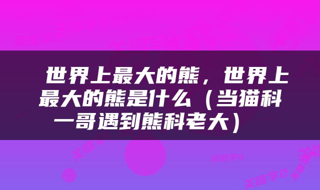  世界上最大的熊，世界上最大的熊是什么（当猫科一哥遇到熊科老大） 