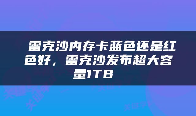  雷克沙内存卡蓝色还是红色好，雷克沙发布超大容量1TB 
