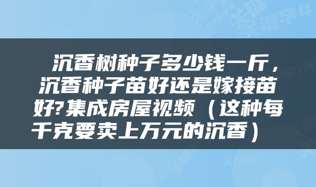  沉香树种子多少钱一斤，沉香种子苗好还是嫁接苗好?集成房屋视频（这种每千克要卖上万元的沉香） 