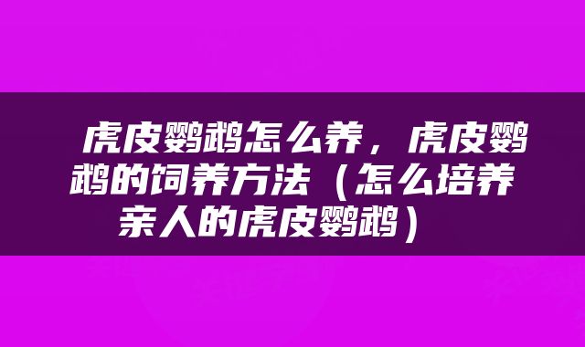  虎皮鹦鹉怎么养，虎皮鹦鹉的饲养方法（怎么培养亲人的虎皮鹦鹉） 