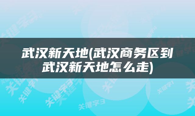 武汉新天地(武汉商务区到武汉新天地怎么走)