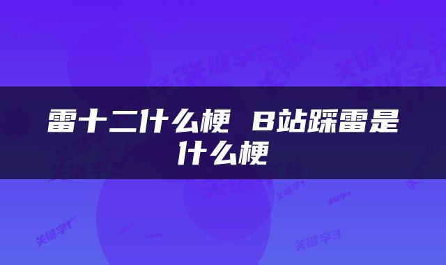雷十二什么梗 B站踩雷是什么梗