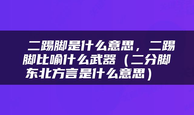  二踢脚是什么意思，二踢脚比喻什么武器（二分脚东北方言是什么意思） 