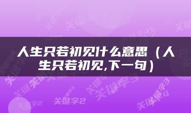 人生只若初见什么意思（人生只若初见,下一句）