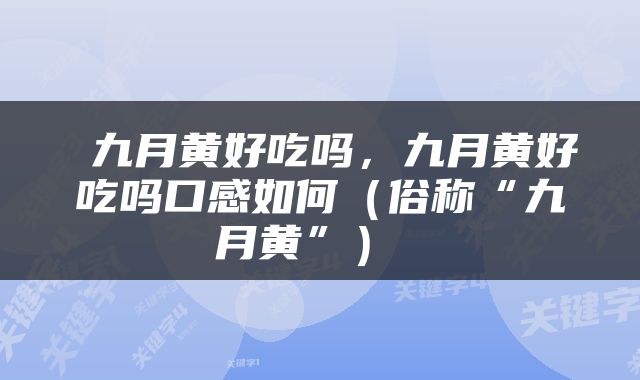  九月黄好吃吗，九月黄好吃吗口感如何（俗称“九月黄”） 