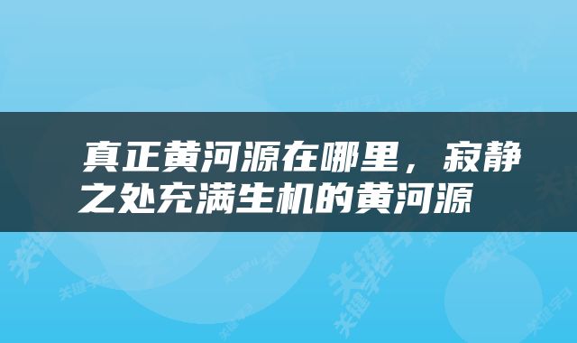  真正黄河源在哪里，寂静之处充满生机的黄河源 