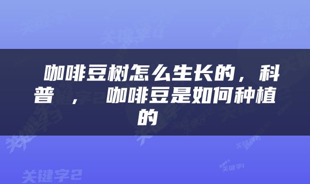  咖啡豆树怎么生长的，科普 ， 咖啡豆是如何种植的 