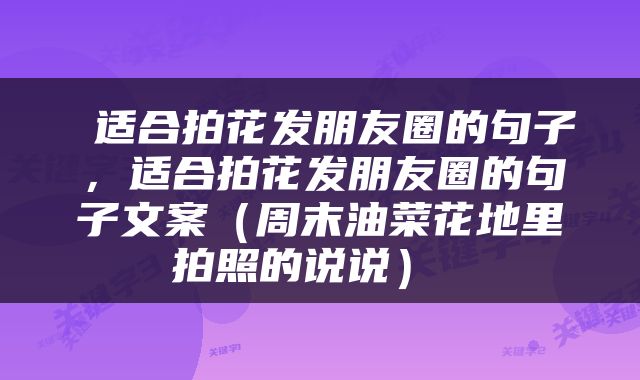适合拍花发朋友圈的句子,适合拍花发朋友圈的句子文案(周末油菜花地里拍照的说说)