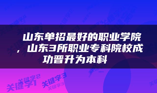  山东单招最好的职业学院，山东3所职业专科院校成功晋升为本科 