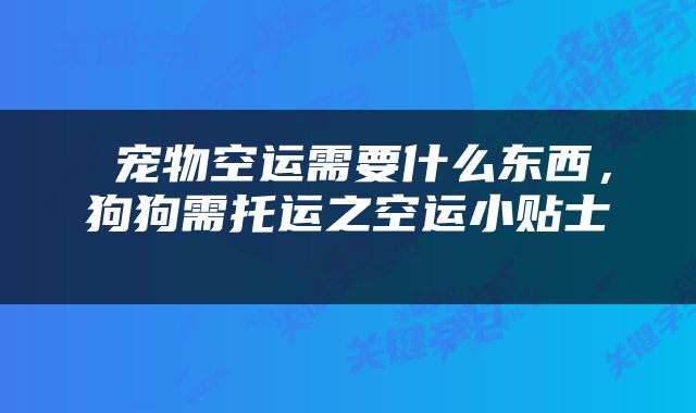  宠物空运需要什么东西，狗狗需托运之空运小贴士 