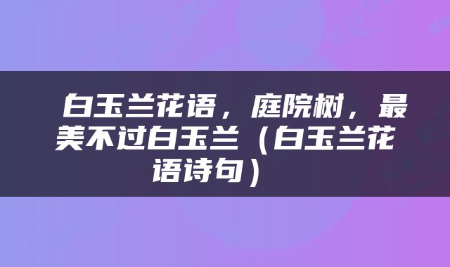  白玉兰花语，庭院树，最美不过白玉兰（白玉兰花语诗句） 