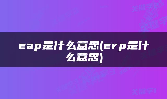 eap是什么意思(erp是什么意思)