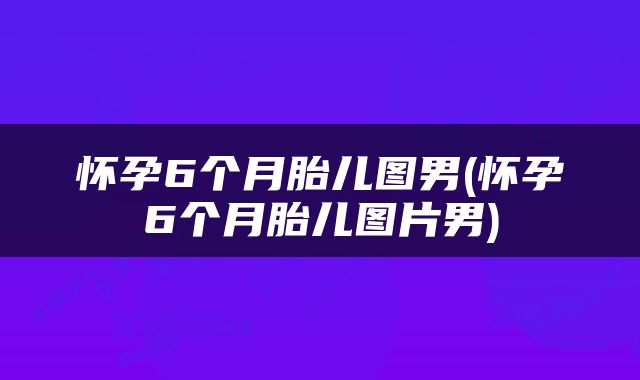 怀孕6个月胎儿图男(怀孕6个月胎儿图片男)