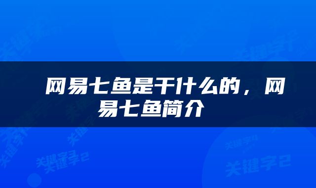  网易七鱼是干什么的，网易七鱼简介 
