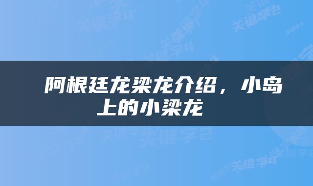  阿根廷龙梁龙介绍，小岛上的小梁龙 
