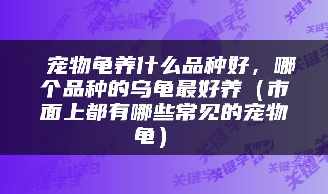  宠物龟养什么品种好，哪个品种的乌龟最好养（市面上都有哪些常见的宠物龟） 