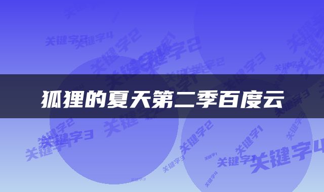 狐狸的夏天第二季百度云