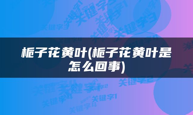 栀子花黄叶(栀子花黄叶是怎么回事)