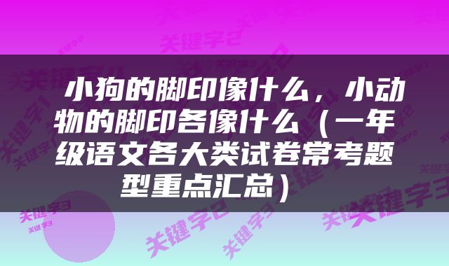  小狗的脚印像什么，小动物的脚印各像什么（一年级语文各大类试卷常考题型重点汇总） 