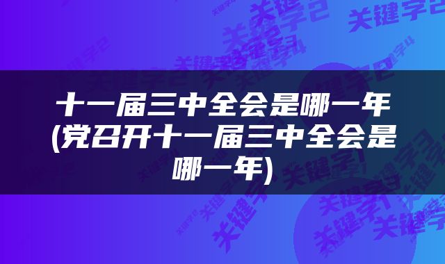 十一届三中全会是哪一年(党召开十一届三中全会是哪一年)