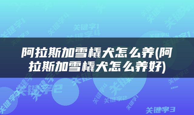 阿拉斯加雪橇犬怎么养(阿拉斯加雪橇犬怎么养好)