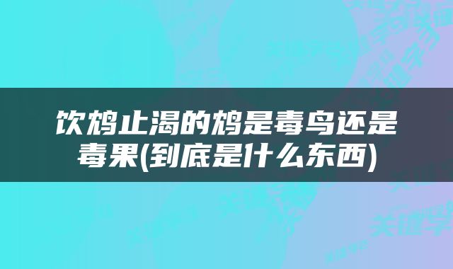 饮鸩止渴的鸩是毒鸟还是毒果(到底是什么东西)
