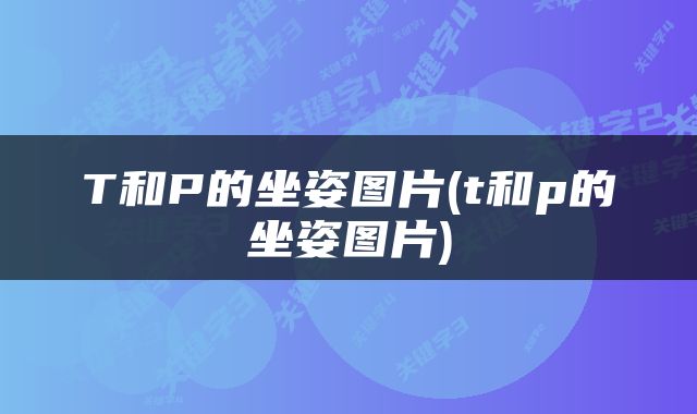 T和P的坐姿图片(t和p的坐姿图片)