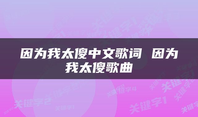因为我太傻中文歌词 因为我太傻歌曲