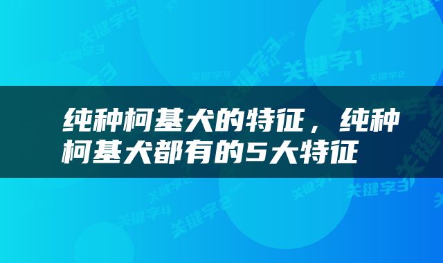  纯种柯基犬的特征，纯种柯基犬都有的5大特征 