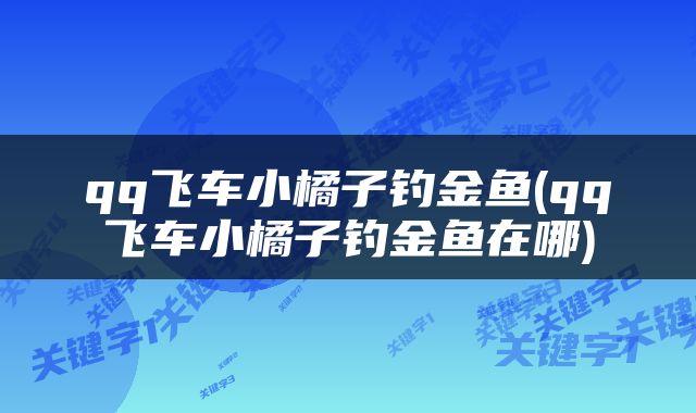 qq飞车小橘子钓金鱼(qq飞车小橘子钓金鱼在哪)