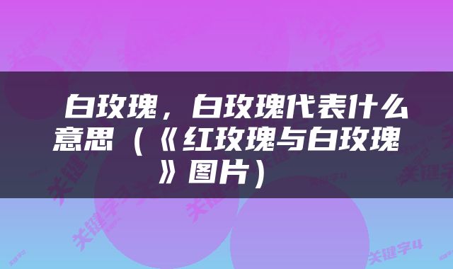  白玫瑰，白玫瑰代表什么意思（《红玫瑰与白玫瑰》图片） 