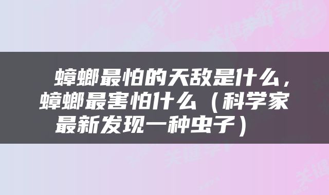  蟑螂最怕的天敌是什么，蟑螂最害怕什么（科学家最新发现一种虫子） 