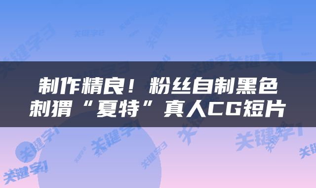 制作精良！粉丝自制黑色刺猬“夏特”真人CG短片
