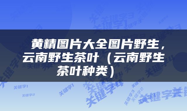  黄精图片大全图片野生，云南野生茶叶（云南野生茶叶种类） 