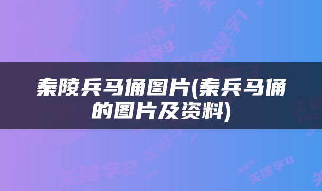 秦陵兵马俑图片(秦兵马俑的图片及资料)