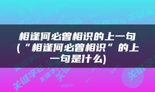 相逢何必曾相识的上一句(“相逢何必曾相识”的上一句是什么)