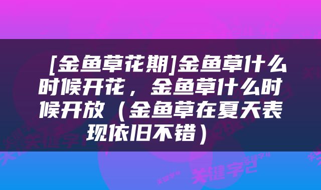  [金鱼草花期]金鱼草什么时候开花，金鱼草什么时候开放（金鱼草在夏天表现依旧不错） 