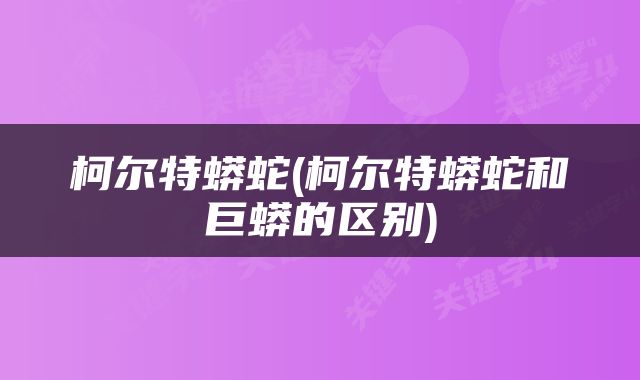 柯尔特蟒蛇(柯尔特蟒蛇和巨蟒的区别)