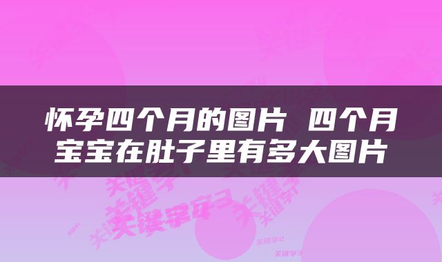 怀孕四个月的图片 四个月宝宝在肚子里有多大图片