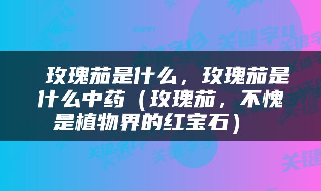  玫瑰茄是什么，玫瑰茄是什么中药（玫瑰茄，不愧是植物界的红宝石） 