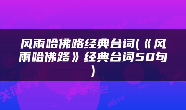 风雨哈佛路经典台词(《风雨哈佛路》经典台词50句)
