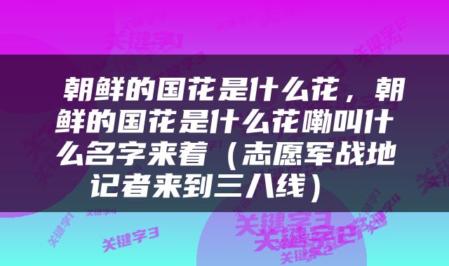 朝鲜的国花是什么花，朝鲜的国花是什么花嘞叫什么名字来着（志愿军战地记者来到三八线） 