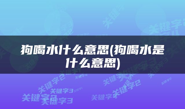 狗喝水什么意思(狗喝水是什么意思)