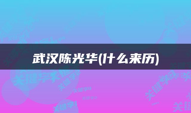 武汉陈光华(什么来历)