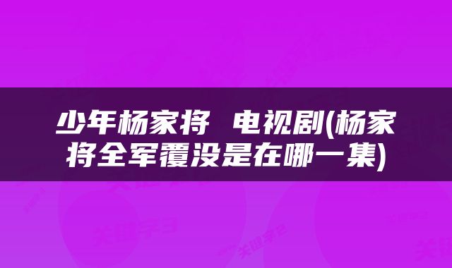 少年杨家将 电视剧(杨家将全军覆没是在哪一集)