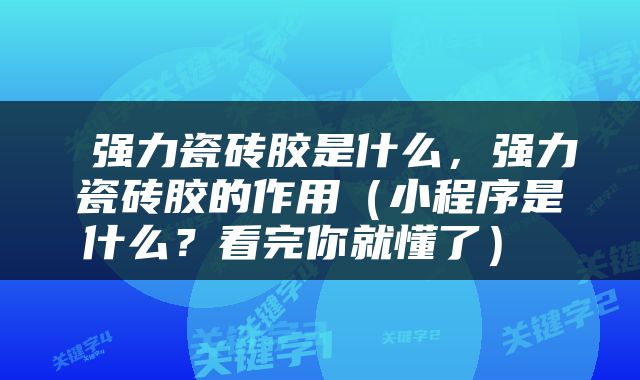 强力瓷砖胶是什么，强力瓷砖胶的作用（小程序是什么？看完你就懂了） 