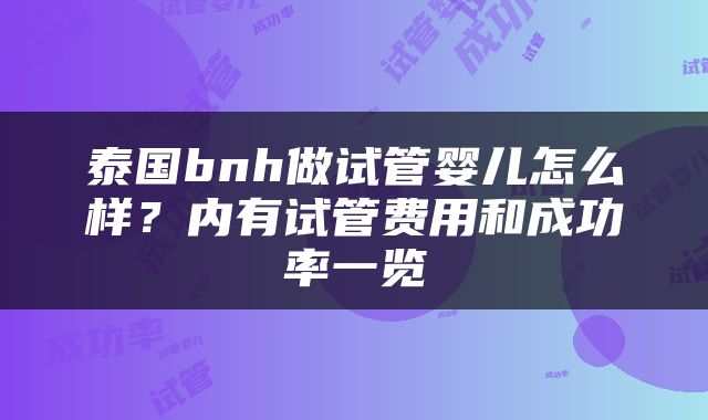 泰国bnh做试管婴儿怎么样？内有试管费用和成功率一览