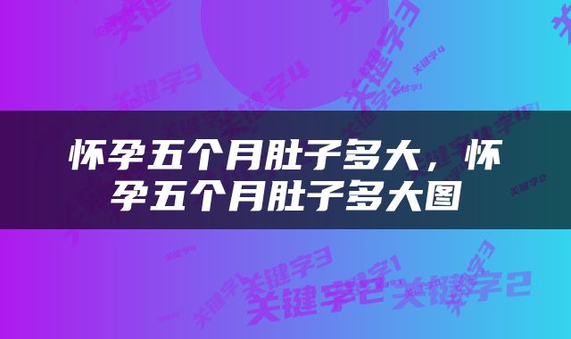 怀孕五个月肚子多大，怀孕五个月肚子多大图
